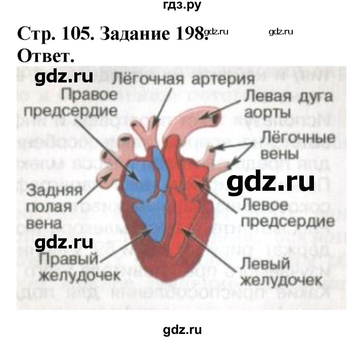 ГДЗ по биологии 7 класс Суматохин рабочая тетрадь Животные  задание - 198, Решебник