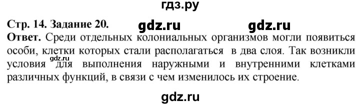 ГДЗ по биологии 7 класс Суматохин рабочая тетрадь Животные  задание - 20, Решебник