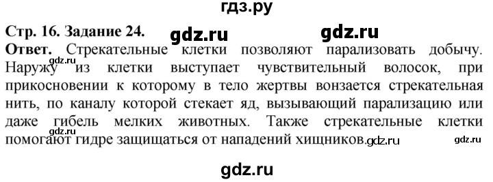 ГДЗ по биологии 7 класс Суматохин рабочая тетрадь Животные  задание - 24, Решебник