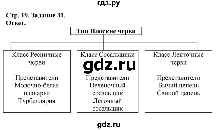 ГДЗ по биологии 7 класс Суматохин рабочая тетрадь  задание - 31, Решебник