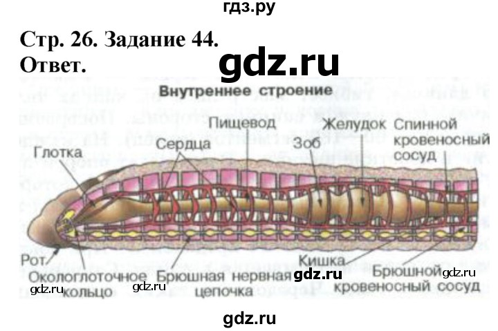ГДЗ по биологии 7 класс Суматохин рабочая тетрадь  задание - 44, Решебник