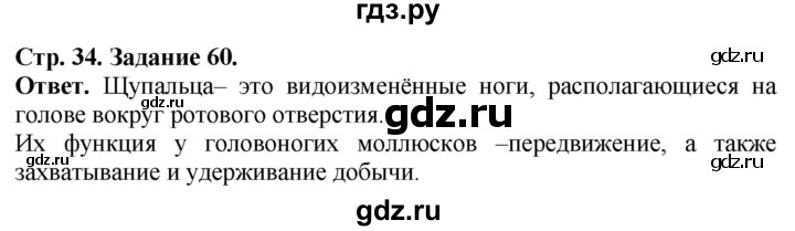 ГДЗ по биологии 7 класс Суматохин рабочая тетрадь  задание - 60, Решебник