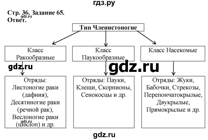 ГДЗ по биологии 7 класс Суматохин рабочая тетрадь Животные  задание - 65, Решебник