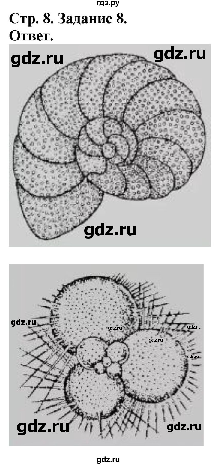 ГДЗ по биологии 7 класс Суматохин рабочая тетрадь  задание - 8, Решебник