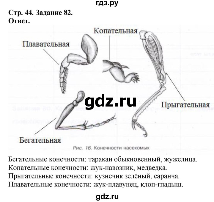 ГДЗ по биологии 7 класс Суматохин рабочая тетрадь Животные  задание - 82, Решебник