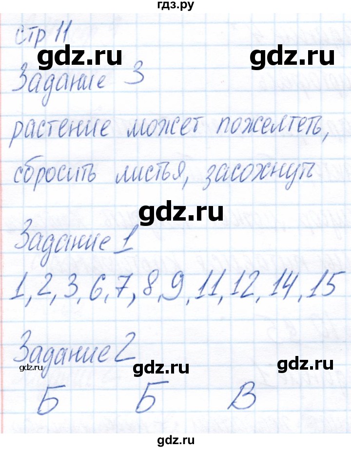 ГДЗ по биологии 6 класс Пономарева рабочая тетрадь  часть 1. страница - 11, Решебник