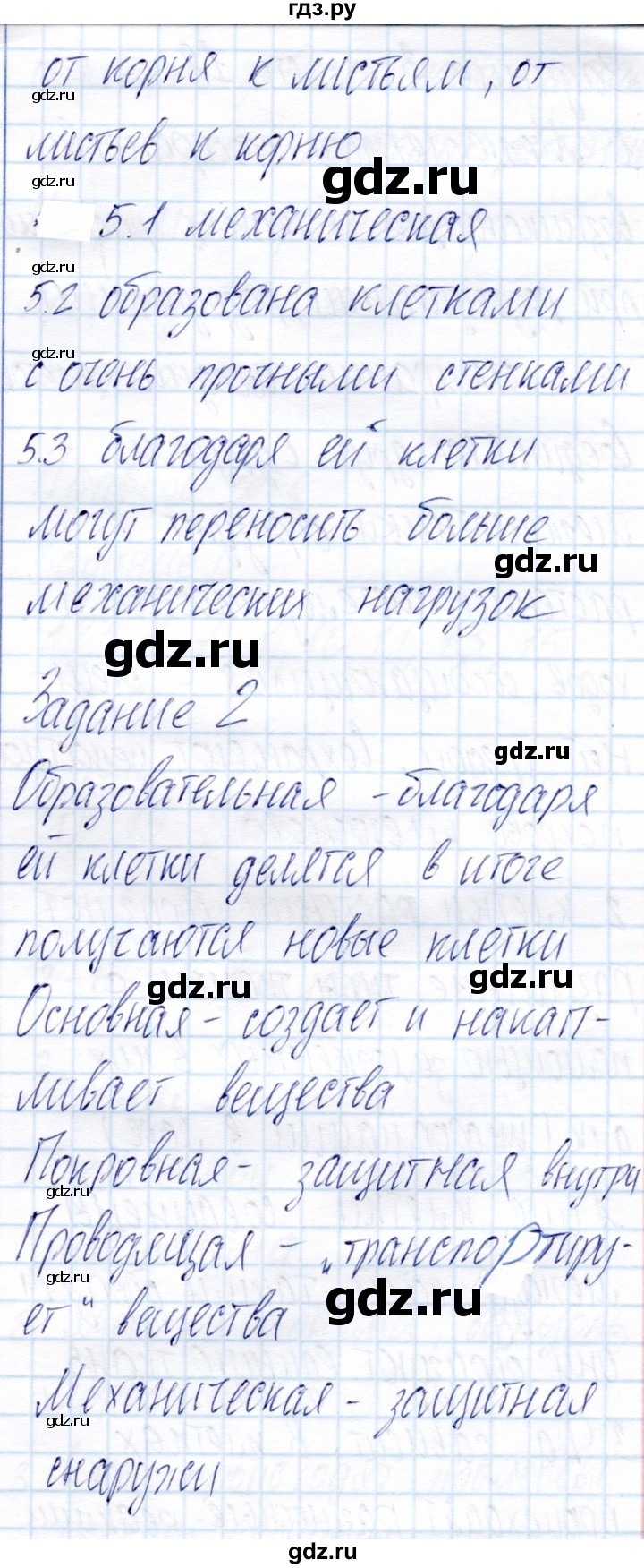 ГДЗ по биологии 6 класс Пономарева рабочая тетрадь  часть 1. страница - 17, Решебник