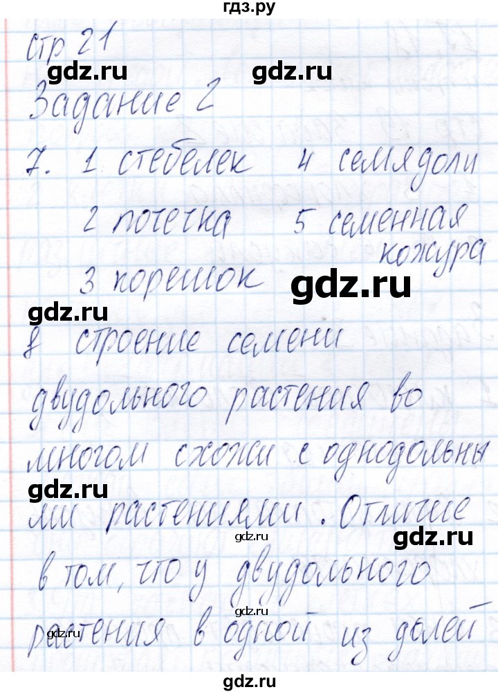 ГДЗ по биологии 6 класс Пономарева рабочая тетрадь  часть 1. страница - 21, Решебник