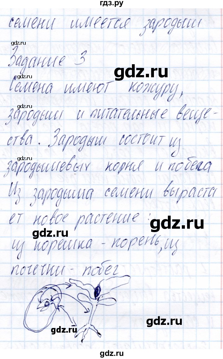 ГДЗ по биологии 6 класс Пономарева рабочая тетрадь  часть 1. страница - 21, Решебник