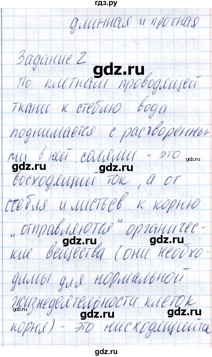 ГДЗ по биологии 6 класс Пономарева рабочая тетрадь  часть 1. страница - 28, Решебник