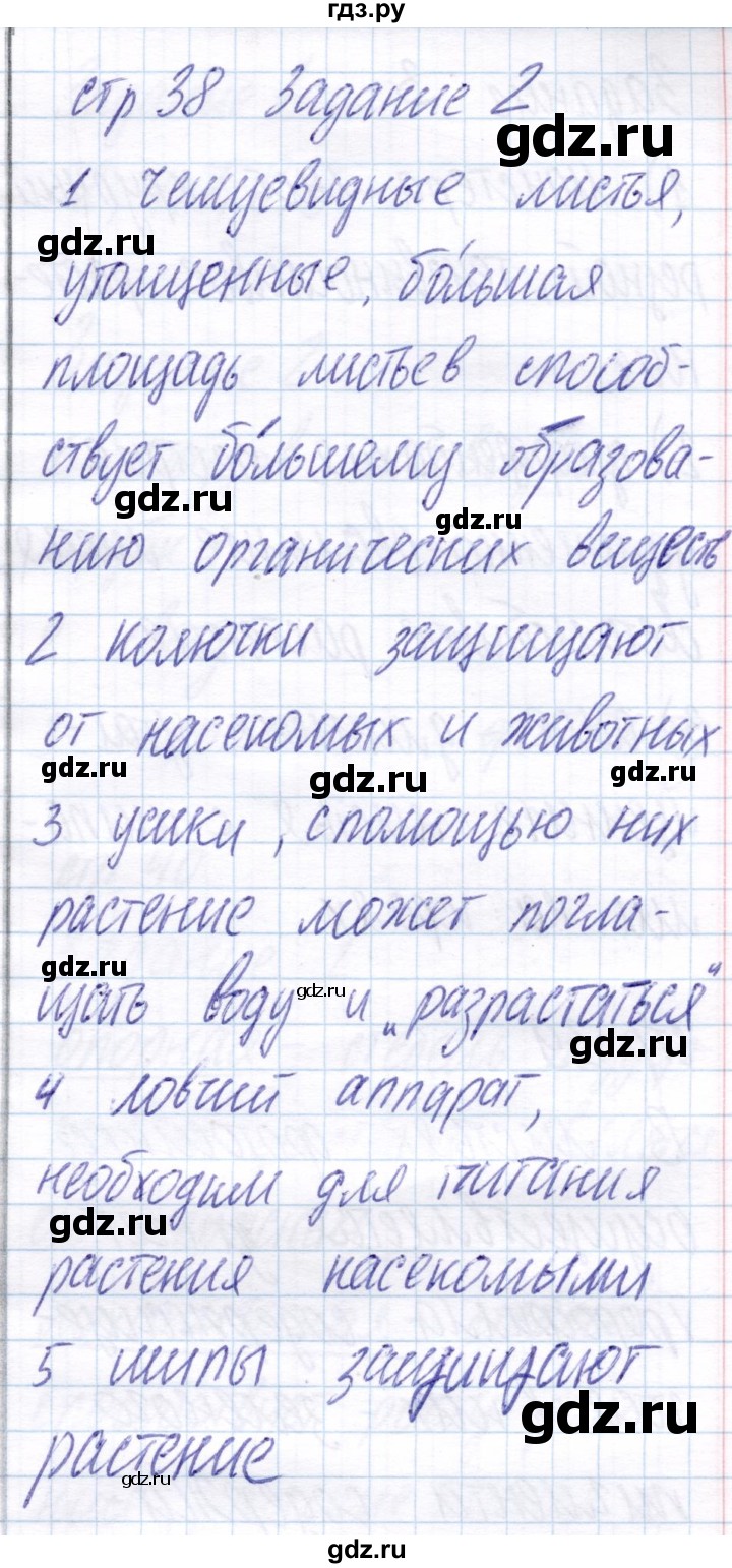 ГДЗ по биологии 6 класс Пономарева рабочая тетрадь  часть 1. страница - 38, Решебник