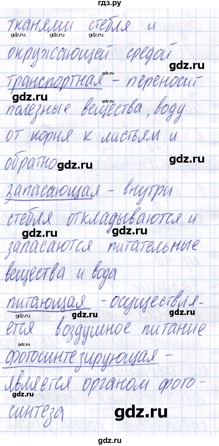 ГДЗ по биологии 6 класс Пономарева рабочая тетрадь  часть 1. страница - 40, Решебник