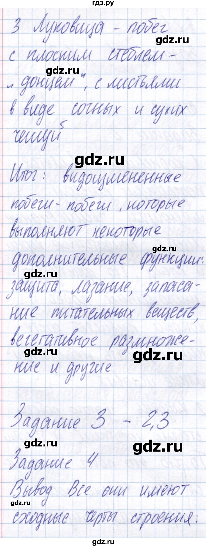 ГДЗ по биологии 6 класс Пономарева рабочая тетрадь  часть 1. страница - 42, Решебник