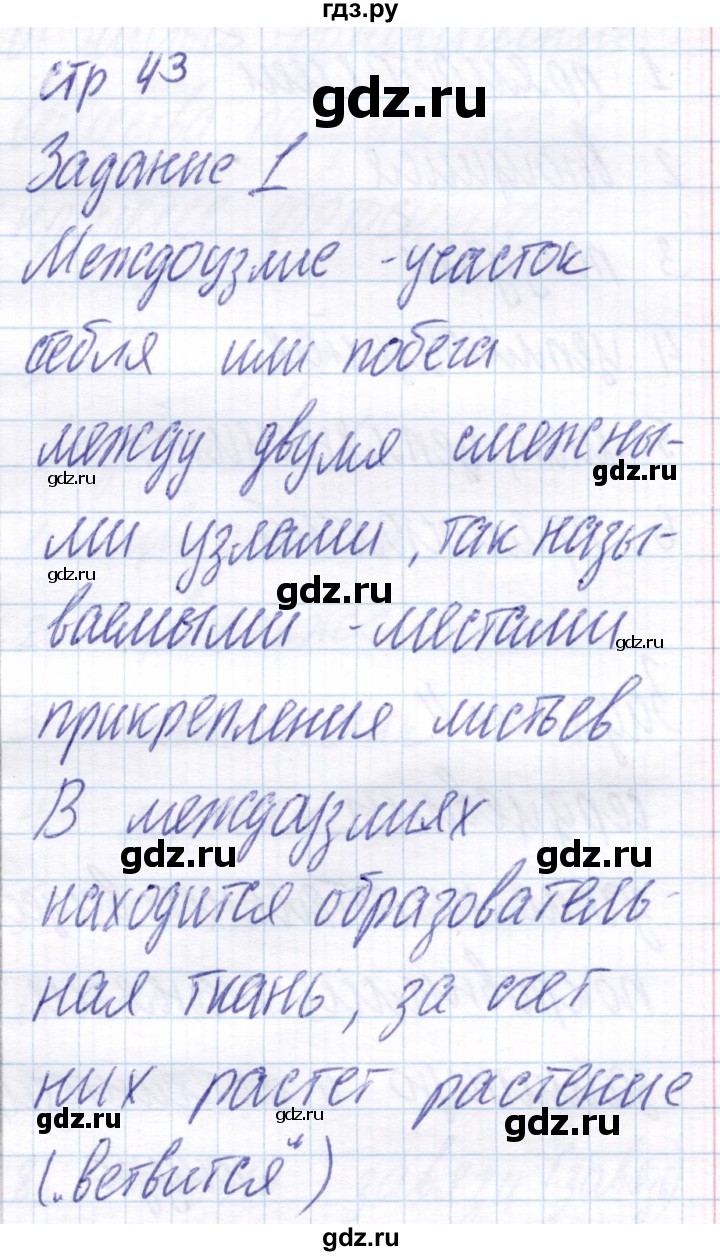 ГДЗ по биологии 6 класс Пономарева рабочая тетрадь  часть 1. страница - 43, Решебник
