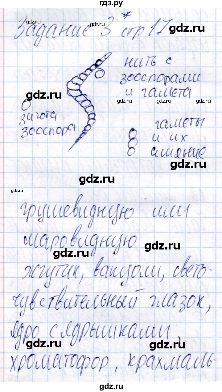 ГДЗ по биологии 6 класс Пономарева рабочая тетрадь  часть 2. страница - 17, Решебник