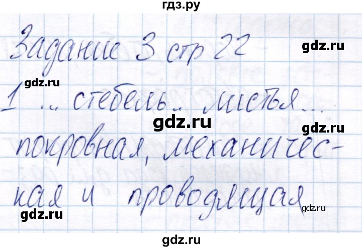 ГДЗ по биологии 6 класс Пономарева рабочая тетрадь  часть 2. страница - 22, Решебник