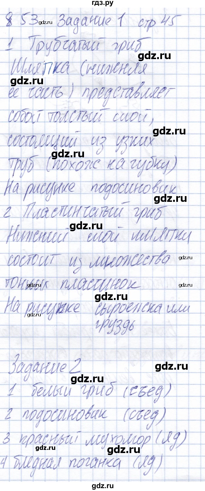 ГДЗ по биологии 6 класс Пономарева рабочая тетрадь  часть 2. страница - 45, Решебник