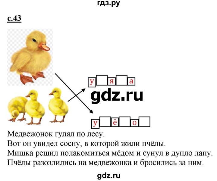 ГДЗ по русскому языку 1 класс Журова букварь  часть 1. страница - 43, Решебник №1