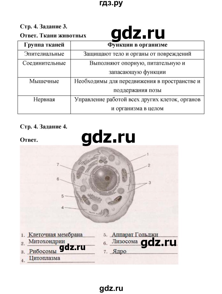 Биология 7 класс сивоглазов чередниченко рабочая