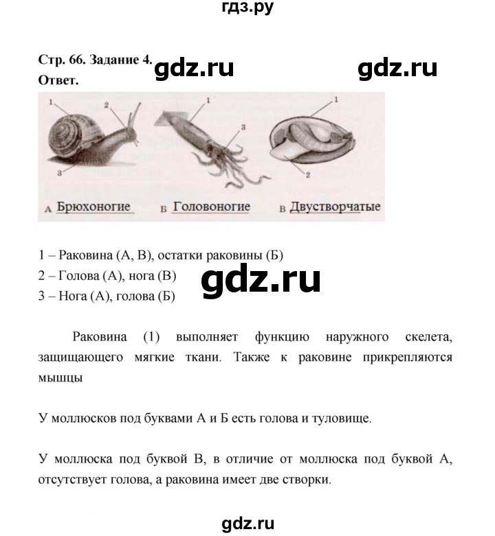 ГДЗ по биологии 7 класс  Чередниченко рабочая тетрадь  параграф 18 (страница) - 66, Решебник