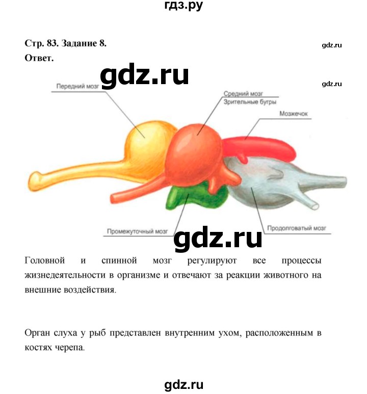 ГДЗ по биологии 7 класс  Чередниченко рабочая тетрадь  параграф 21 (страница) - 83, Решебник