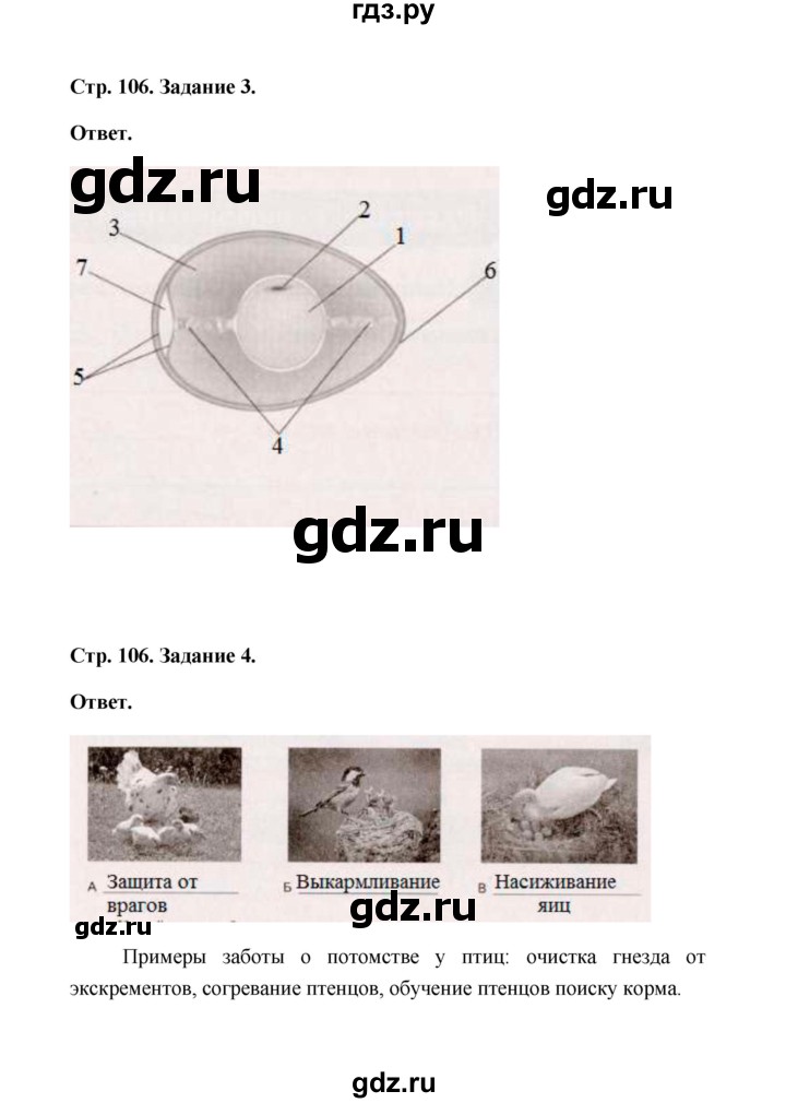 ГДЗ по биологии 7 класс  Чередниченко рабочая тетрадь  параграф 26 (страница) - 106, Решебник