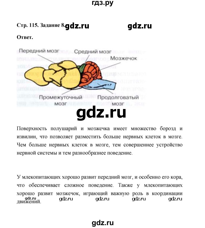 ГДЗ по биологии 7 класс  Чередниченко рабочая тетрадь  параграф 27 (страница) - 115, Решебник