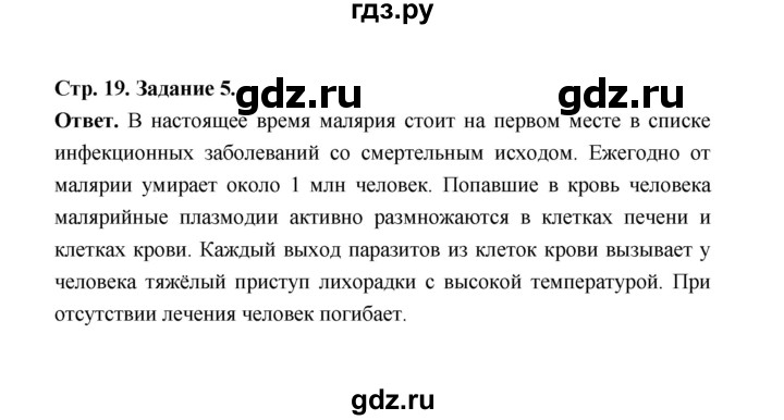 ГДЗ по биологии 7 класс  Чередниченко рабочая тетрадь (Сивоглазов)  параграф 5 (страница) - 19, Решебник