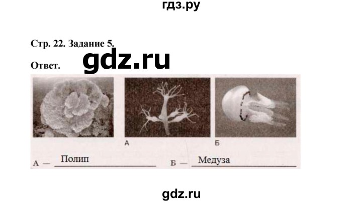 Ответы по фото биология 7 класс ГДЗ параграф 6 (страница) 22 биология 7 класс рабочая тетрадь (Сивоглазов) Черед