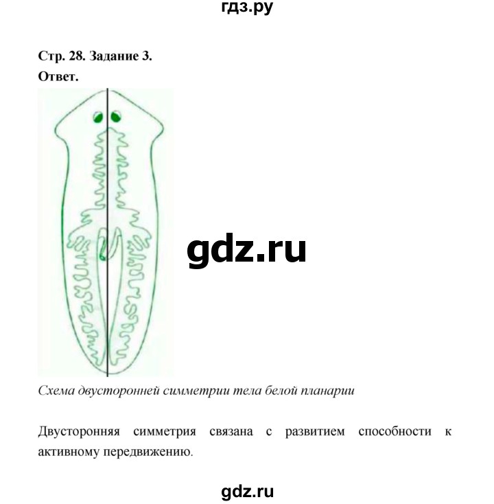 ГДЗ по биологии 7 класс  Чередниченко рабочая тетрадь  параграф 8 (страница) - 28, Решебник