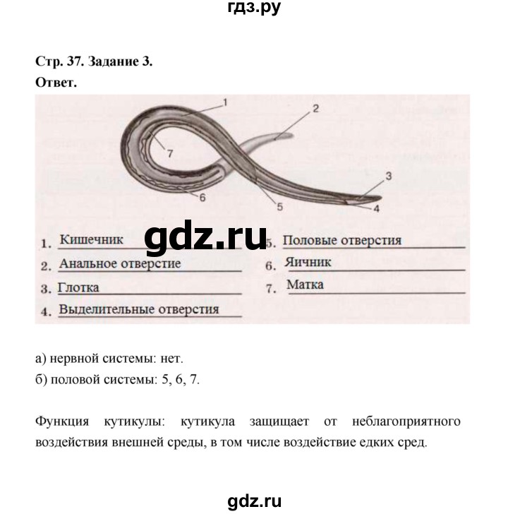 Биология 7 класс сивоглазов чередниченко рабочая