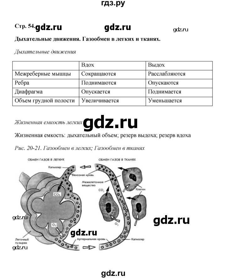 ГДЗ по биологии 8 класс  Бодрова рабочая тетрадь  страница - 54, Решебник