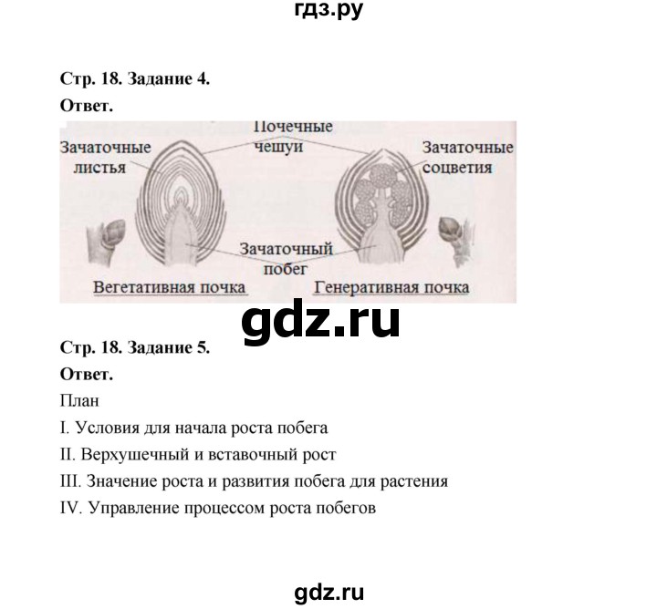 ГДЗ по биологии 6 класс  Сивоглазов рабочая тетрадь  страница - 18, Решебник