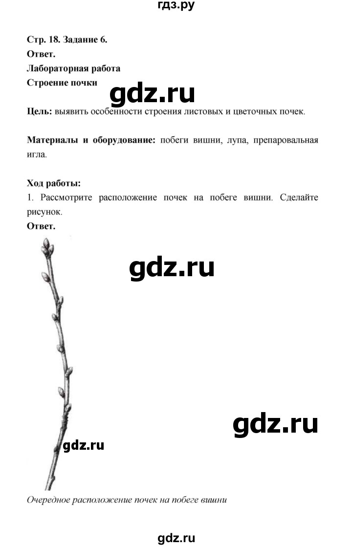 ГДЗ страница 18 биология 6 класс рабочая тетрадь Сивоглазов