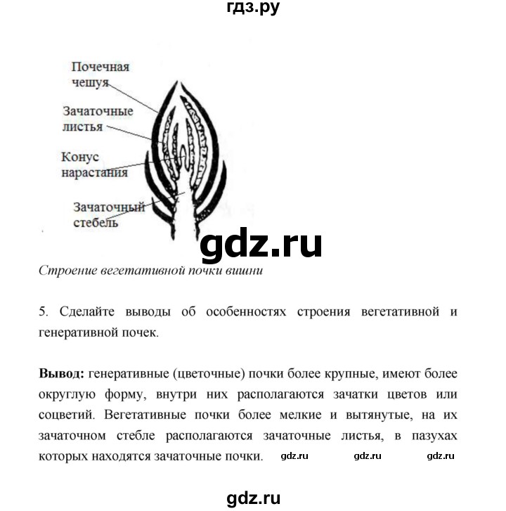 ГДЗ по биологии 6 класс  Сивоглазов рабочая тетрадь  страница - 18, Решебник