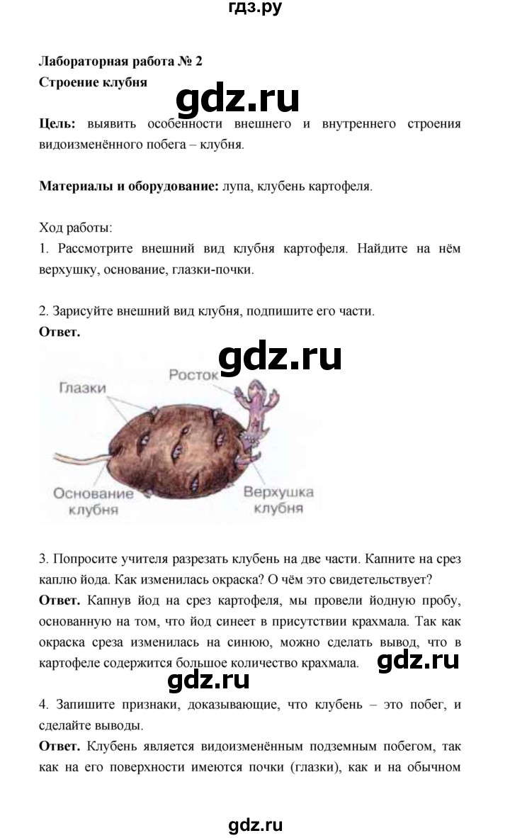 ГДЗ по биологии 6 класс  Сивоглазов рабочая тетрадь  страница - 22, Решебник