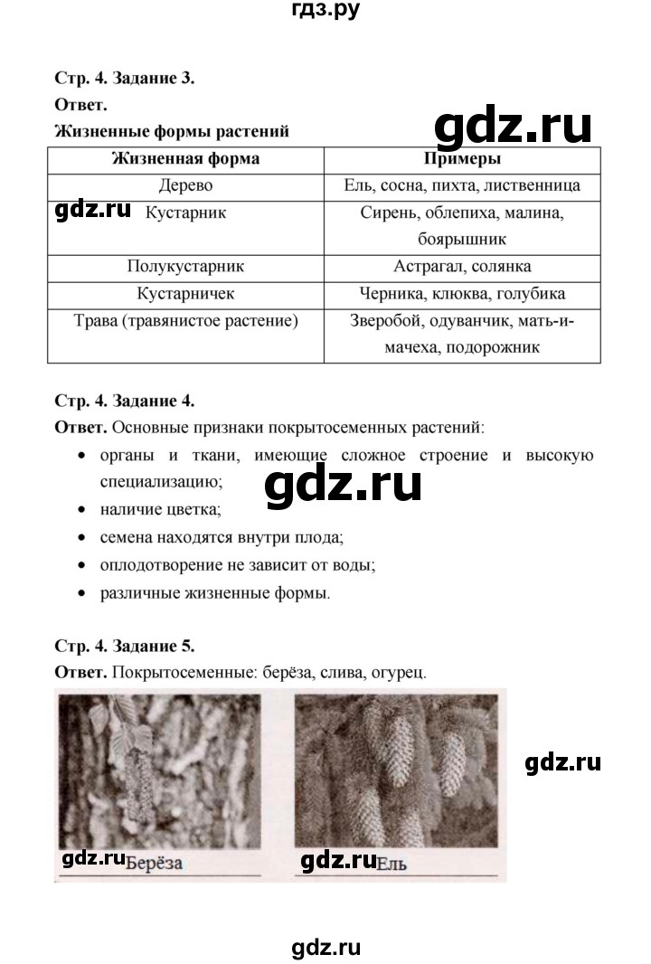 ГДЗ по биологии 6 класс  Сивоглазов рабочая тетрадь  страница - 4, Решенбник