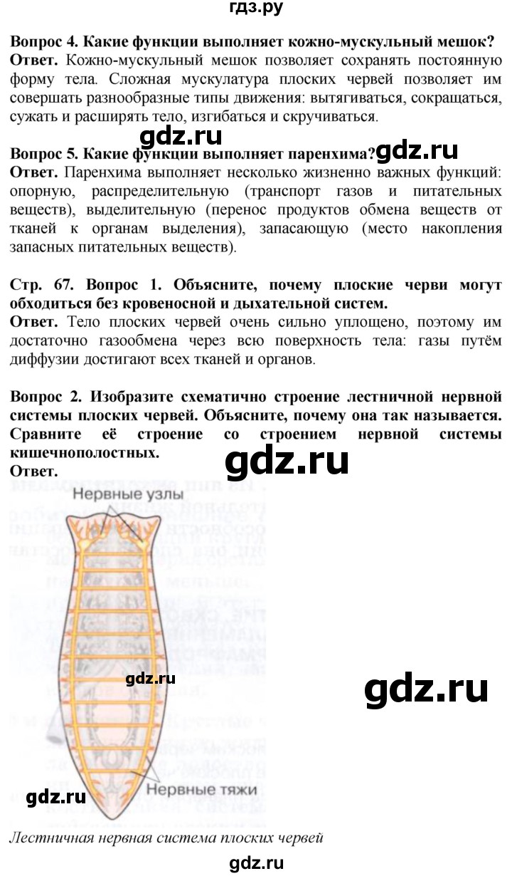 ГДЗ по биологии 8 класс Шереметьева   часть 1. страница - 67, Решебник