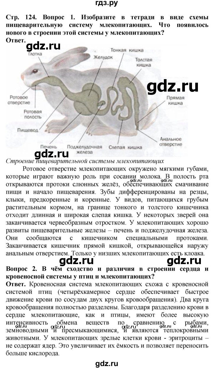 ГДЗ по биологии 8 класс Шереметьева   часть 2. страница - 124, Решебник
