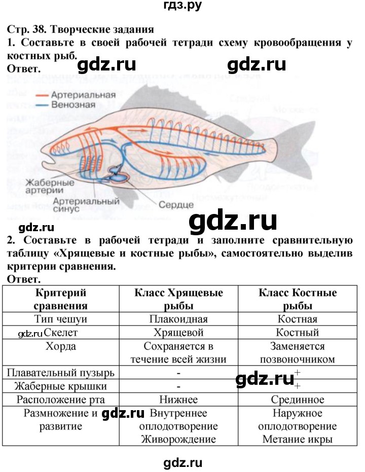 ГДЗ по биологии 8 класс Шереметьева   часть 2. страница - 38, Решебник