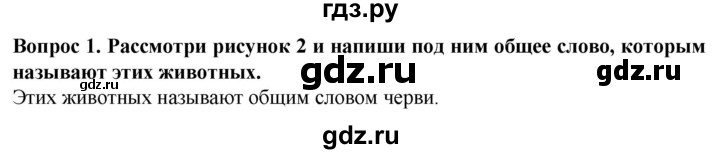 ГДЗ по биологии 8 класс Никишов рабочая тетрадь Животные Для обучающихся с интеллектуальными нарушениями беспозвоночные животные / черви - 1, Решебник