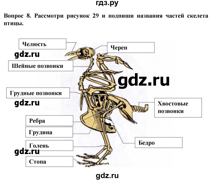 ГДЗ по биологии 8 класс Никишов рабочая тетрадь (Животные) Для обучающихся с интеллектуальными нарушениями позвоночные животные / птицы - 8, Решебник