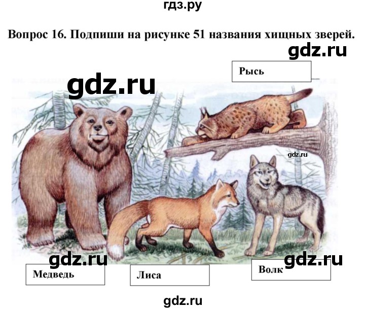 ГДЗ по биологии 8 класс Никишов рабочая тетрадь (Животные) Для обучающихся с интеллектуальными нарушениями позвоночные животные / млекопитающие - 16, Решебник