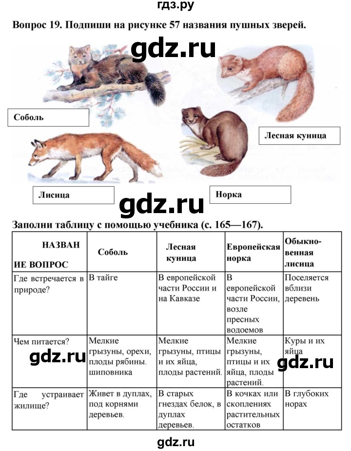 ГДЗ по биологии 8 класс Никишов рабочая тетрадь Животные Для обучающихся с интеллектуальными нарушениями позвоночные животные / млекопитающие - 19, Решебник