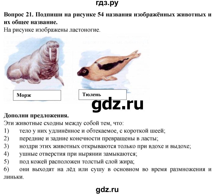 ГДЗ по биологии 8 класс Никишов рабочая тетрадь (Животные) Для обучающихся с интеллектуальными нарушениями позвоночные животные / млекопитающие - 21, Решебник