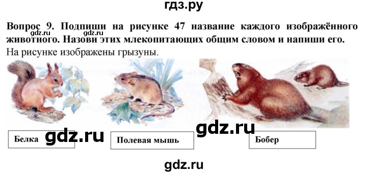 ГДЗ по биологии 8 класс Никишов рабочая тетрадь (Животные) Для обучающихся с интеллектуальными нарушениями позвоночные животные / млекопитающие - 9, Решебник
