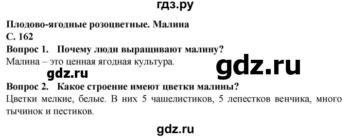 ГДЗ по биологии 7 класс Клепинина Растения. Бактерии. Грибы Для обучающихся с интеллектуальными нарушениями страница - 162, Решебник