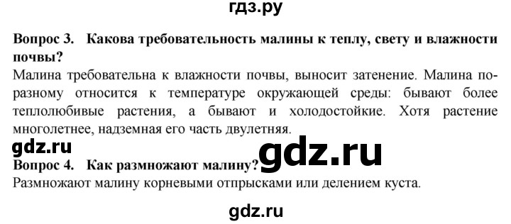 ГДЗ по биологии 7 класс Клепинина Растения. Бактерии. Грибы Для обучающихся с интеллектуальными нарушениями страница - 163, Решебник