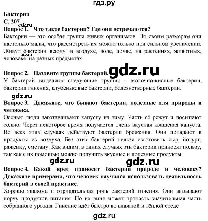 ГДЗ по биологии 7 класс Клепинина Растения. Бактерии. Грибы Для обучающихся с интеллектуальными нарушениями страница - 207, Решебник