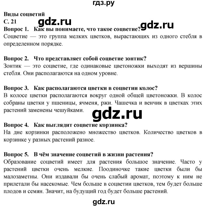 ГДЗ по биологии 7 класс Клепинина Растения. Бактерии. Грибы Для обучающихся с интеллектуальными нарушениями страница - 21, Решебник